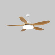 Keltis 48"/52" Ceiling Fan Light - Vakkerlight