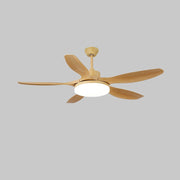 Keltis 48"/52" Ceiling Fan Light - Vakkerlight