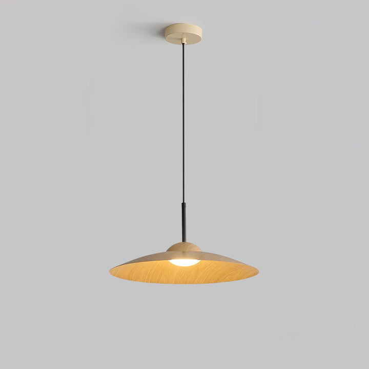 Arcadian Pendant Light - Vakkerlight