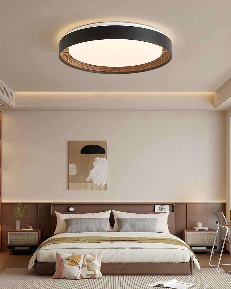 Arco Acrylic Ceiling Light - Vakkerlight