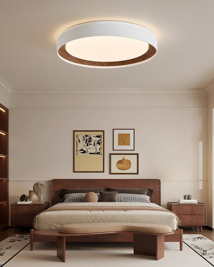 Arco Acrylic Ceiling Light - Vakkerlight