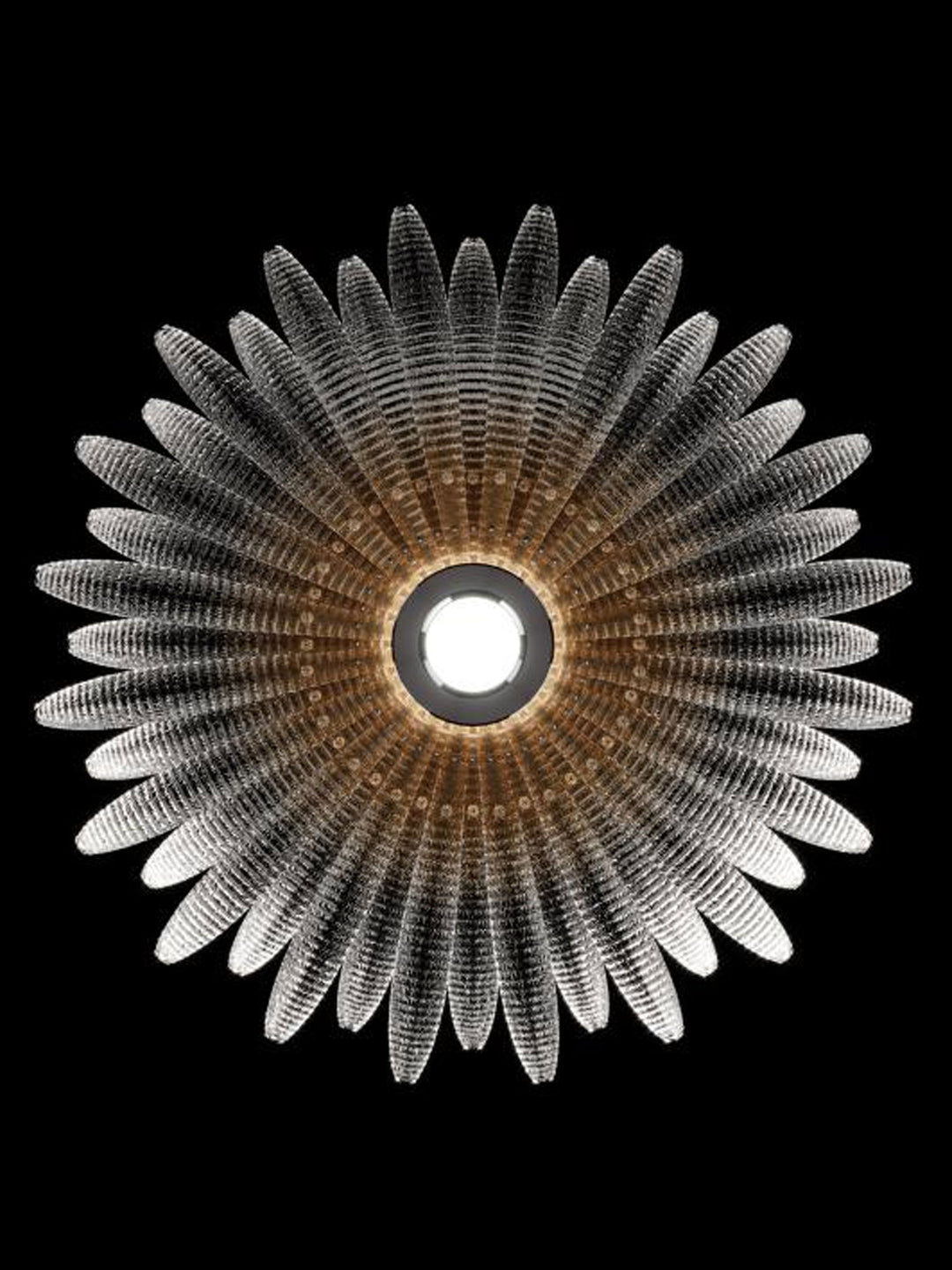Aurelia Glass Petal Ceiling Light - Vakkerlight