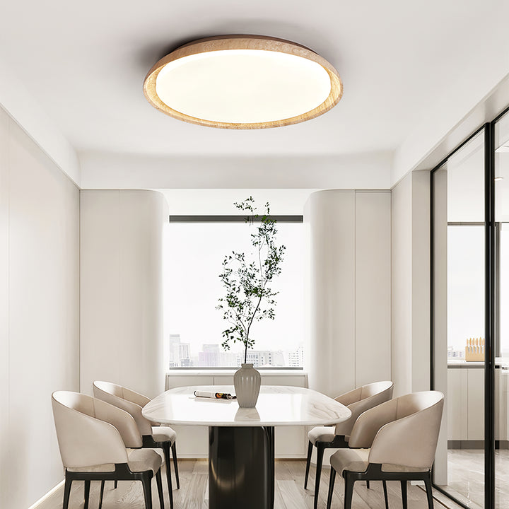 Aureum Edge Ceiling Light