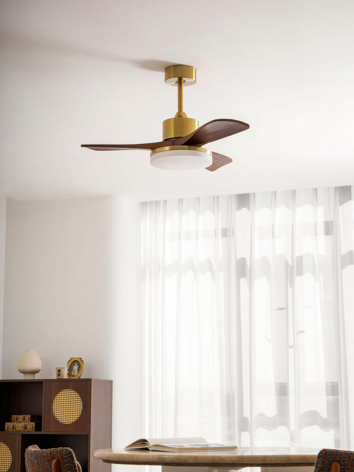 Aurevo Ceiling Fan Light - Vakkerlight