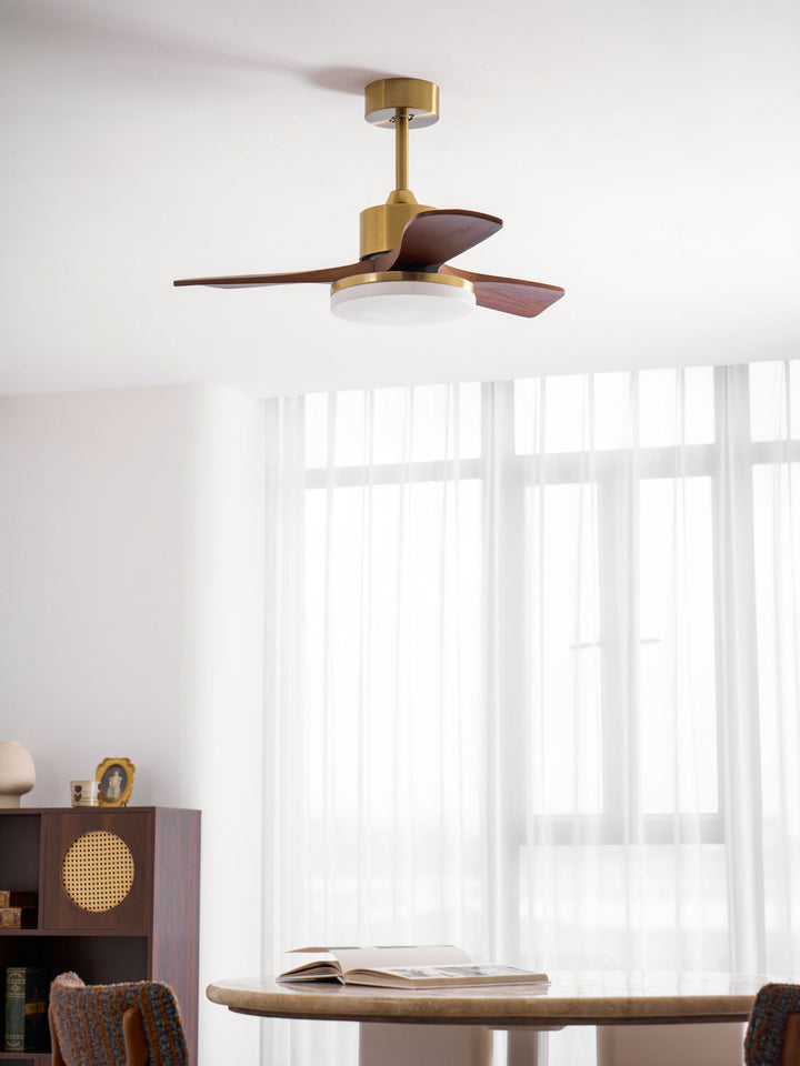 Aurevo Ceiling Fan Light - Vakkerlight