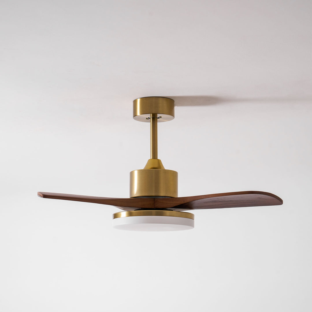 Aurevo Ceiling Fan Light - Vakkerlight