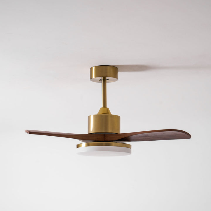 Aurevo Ceiling Fan Light - Vakkerlight
