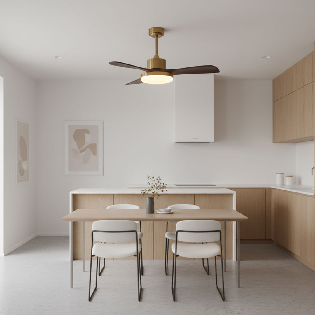 Aurevo Ceiling Fan Light - Vakkerlight