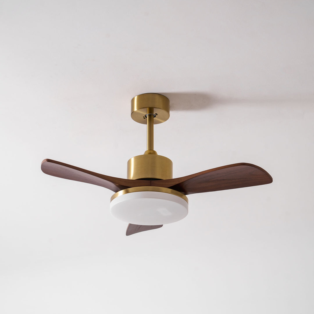 Aurevo Ceiling Fan Light - Vakkerlight