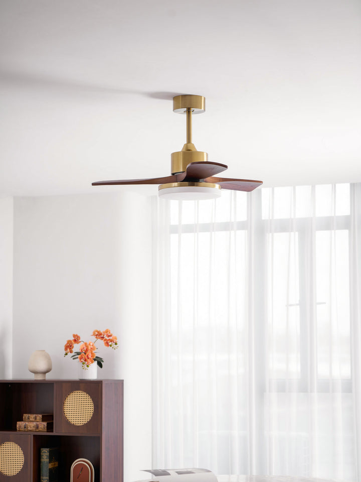 Aurevo Ceiling Fan Light - Vakkerlight