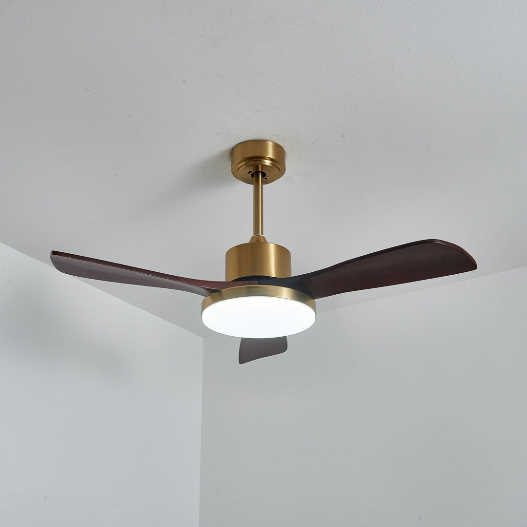 Aurevo Ceiling Fan Light - Vakkerlight