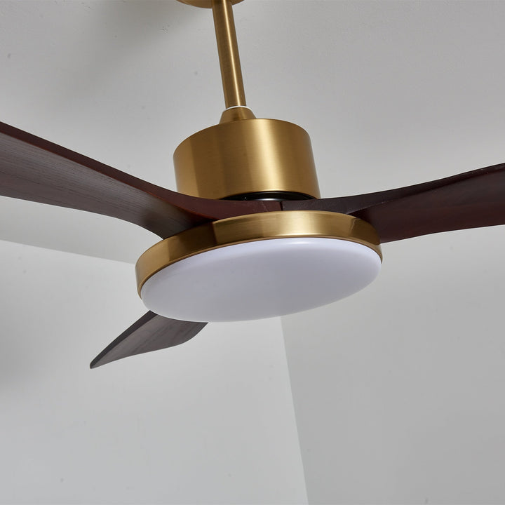 Aurevo Ceiling Fan Light - Vakkerlight