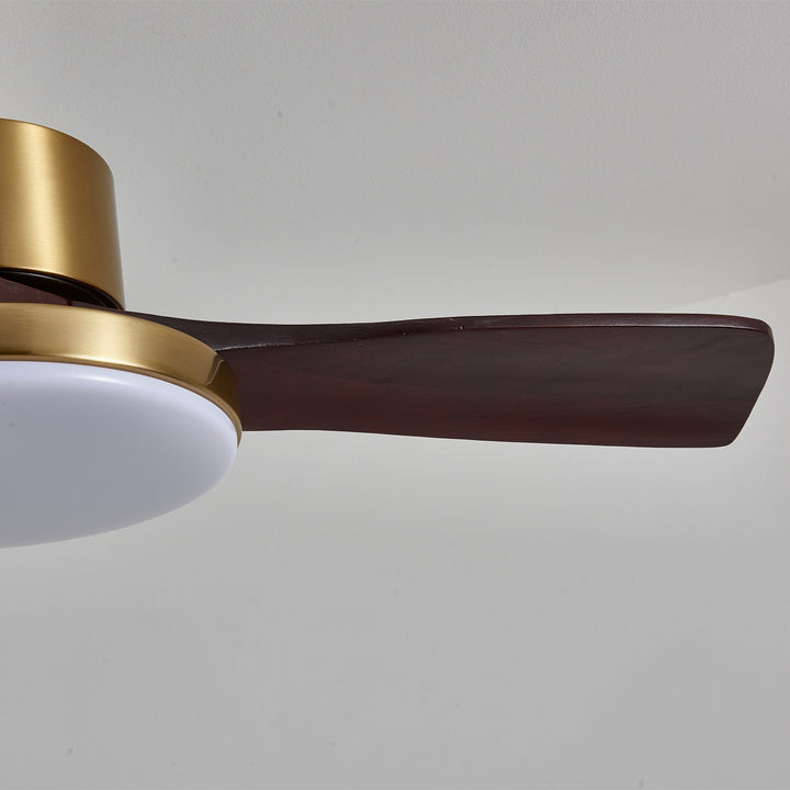 Aurevo Ceiling Fan Light - Vakkerlight
