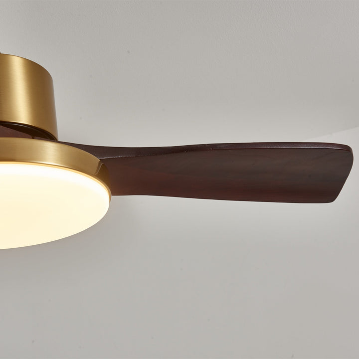 Aurevo Ceiling Fan Light - Vakkerlight