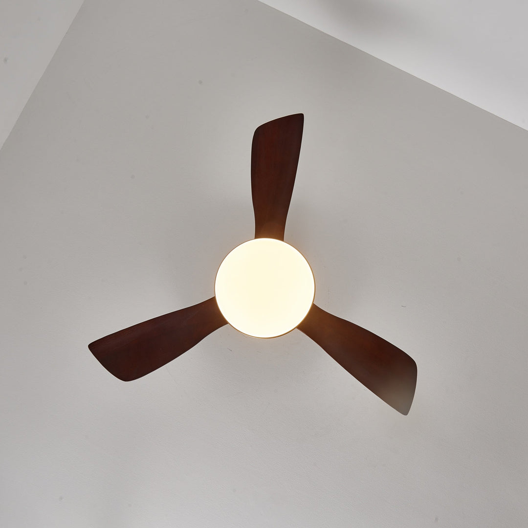 Aurevo Ceiling Fan Light - Vakkerlight