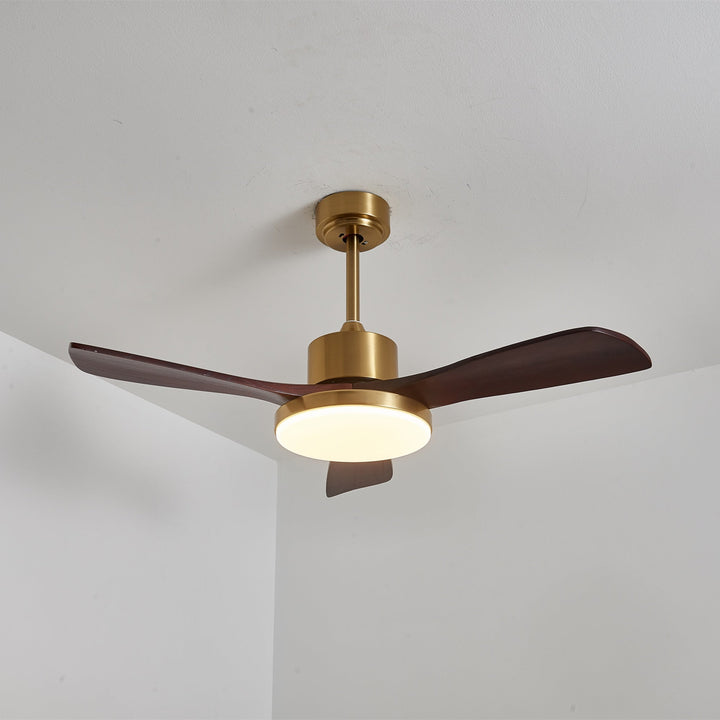Aurevo Ceiling Fan Light - Vakkerlight