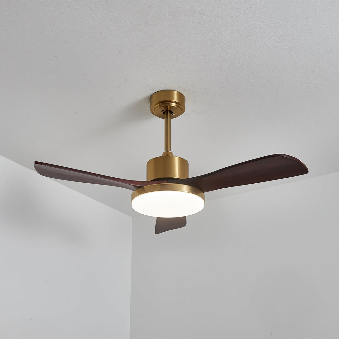 Aurevo Ceiling Fan Light - Vakkerlight