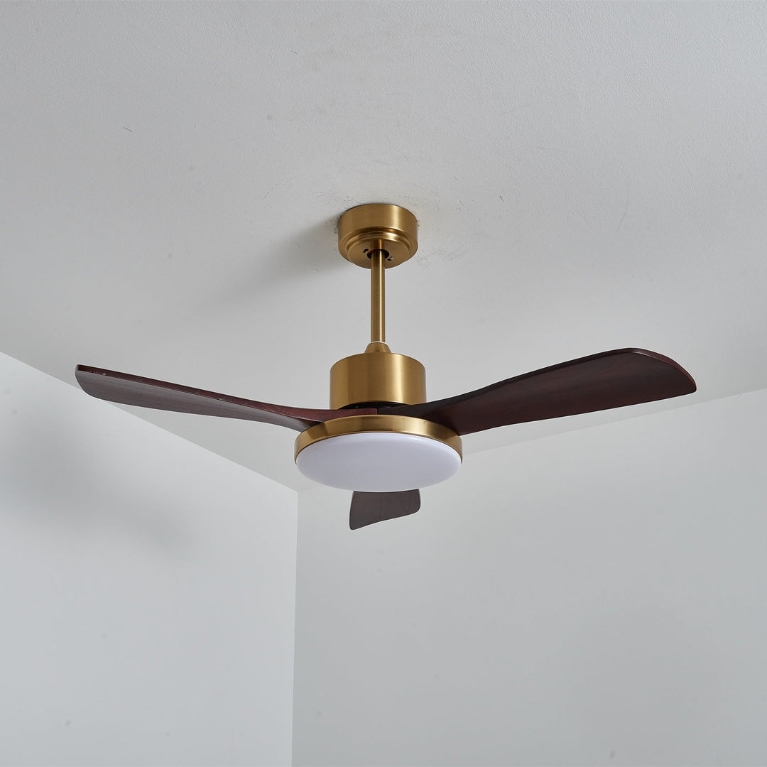 Aurevo Ceiling Fan Light - Vakkerlight