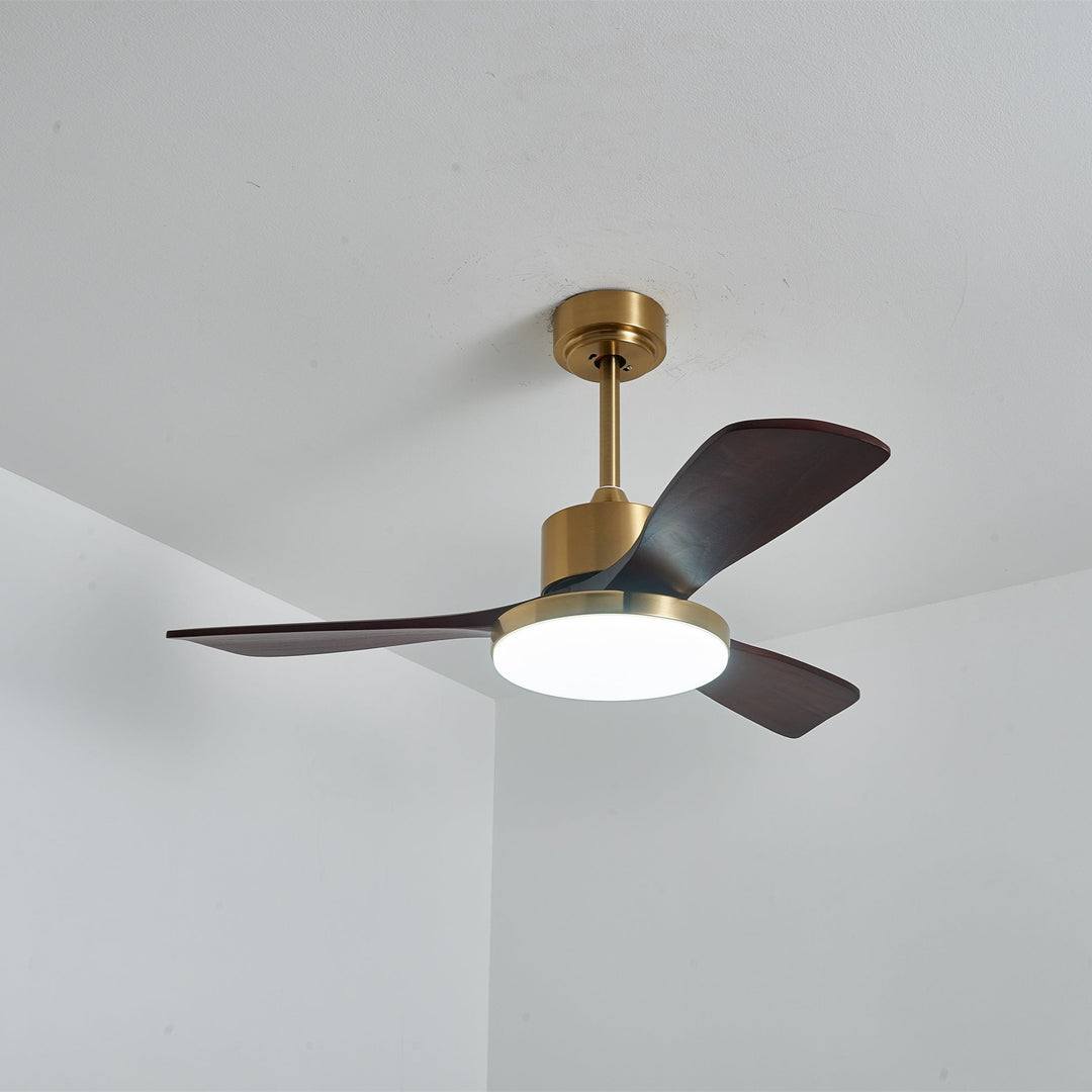 Aurevo Ceiling Fan Light - Vakkerlight