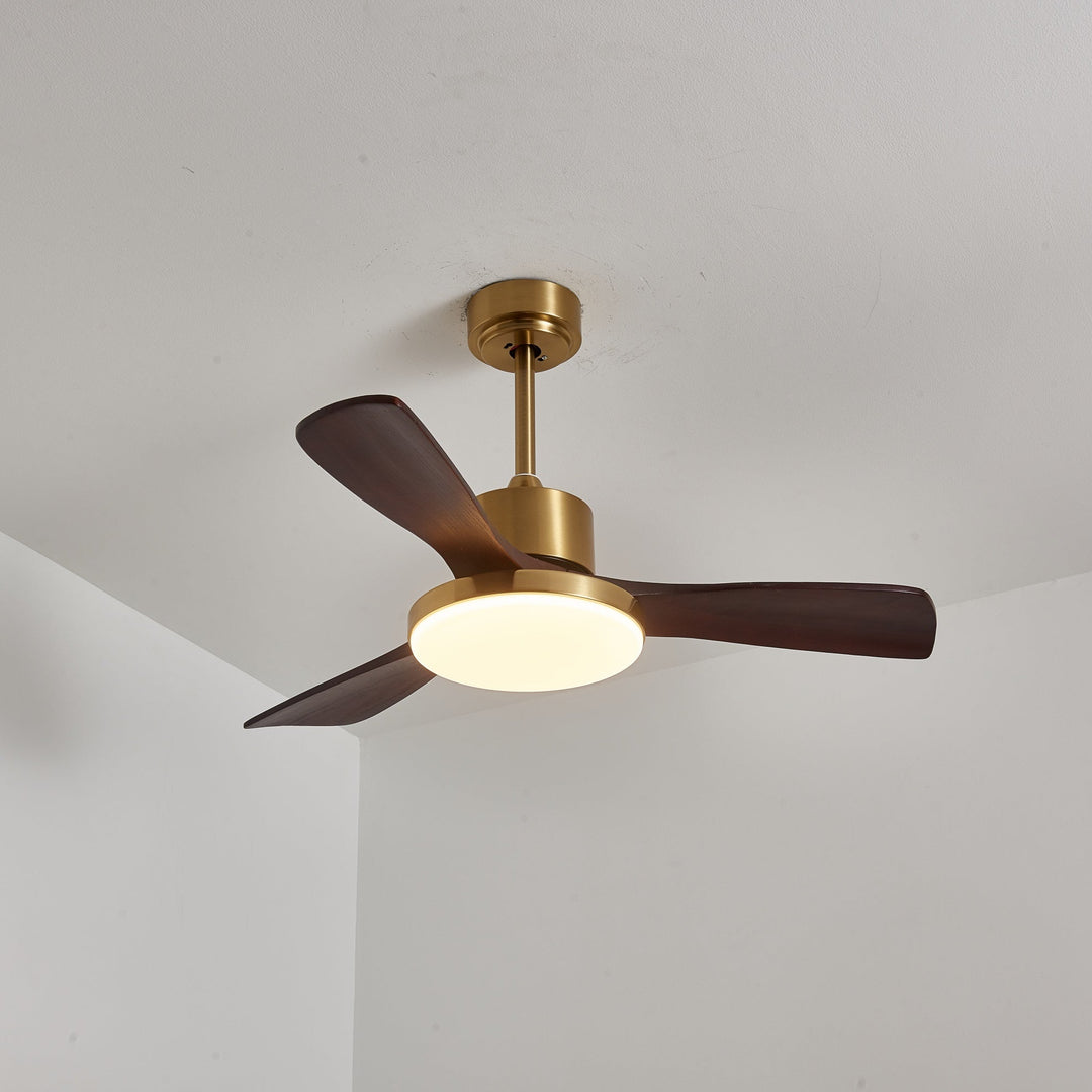 Aurevo Ceiling Fan Light - Vakkerlight