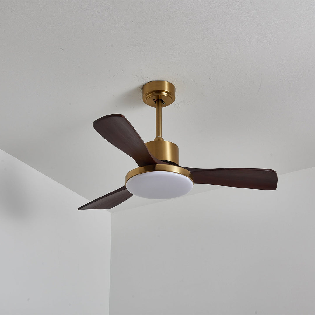 Aurevo Ceiling Fan Light - Vakkerlight