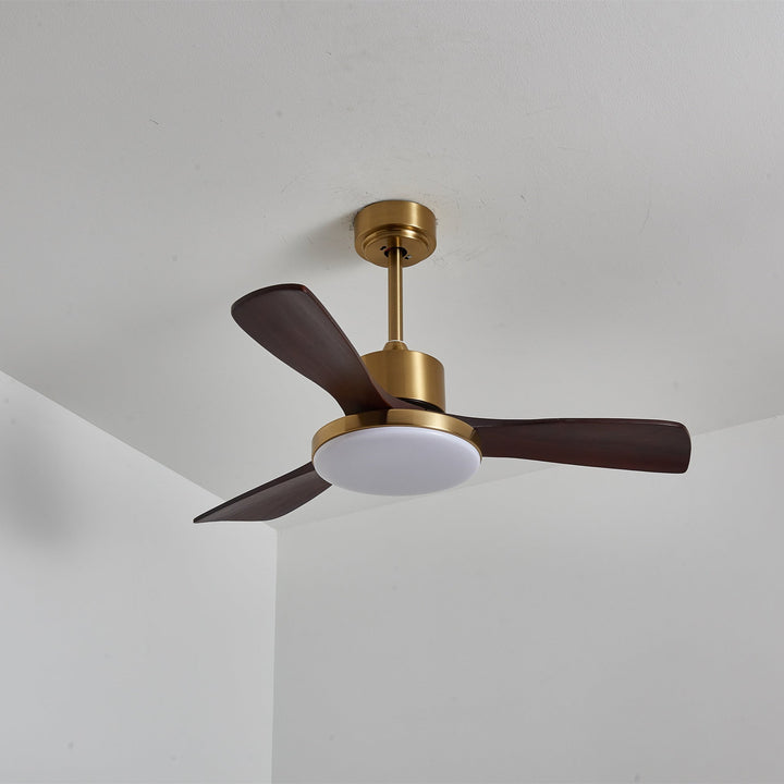 Aurevo Ceiling Fan Light - Vakkerlight