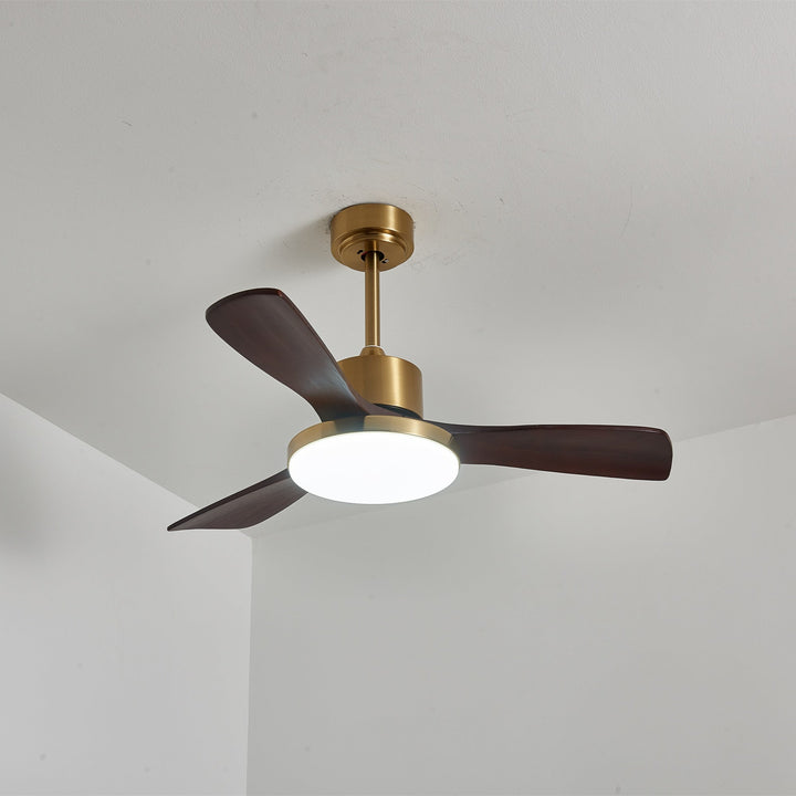 Aurevo Ceiling Fan Light - Vakkerlight