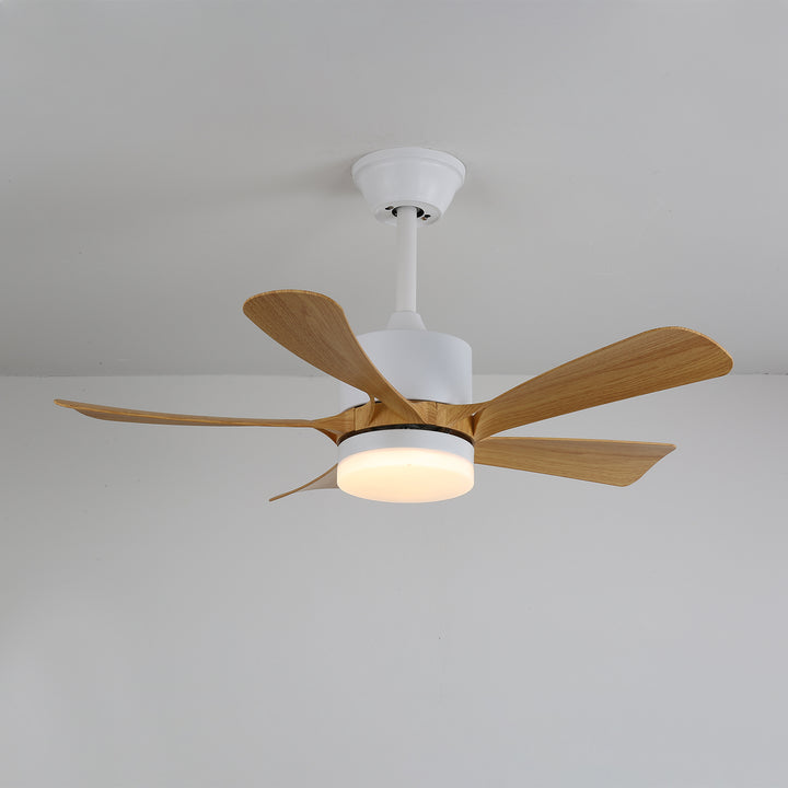 Avenli Ceiling Fan Light - Vakkerlight