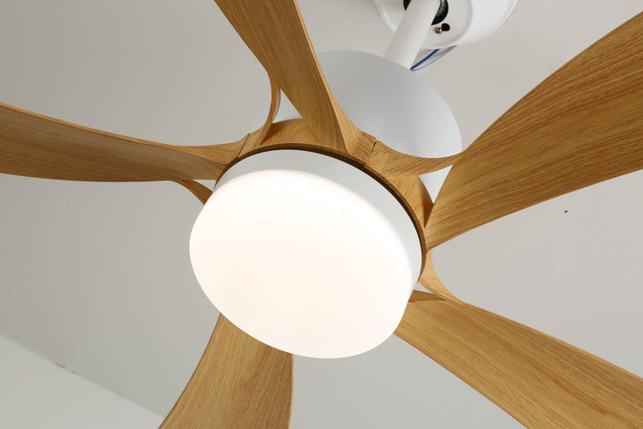 Avenli Ceiling Fan Light - Vakkerlight