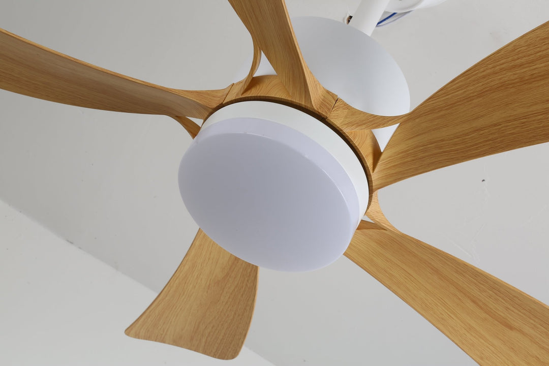 Avenli Ceiling Fan Light - Vakkerlight