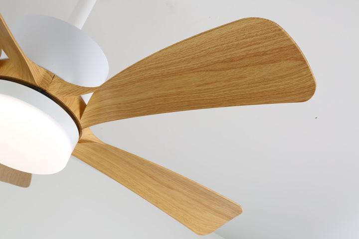 Avenli Ceiling Fan Light - Vakkerlight