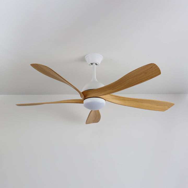 Avenli Ceiling Fan Light - Vakkerlight