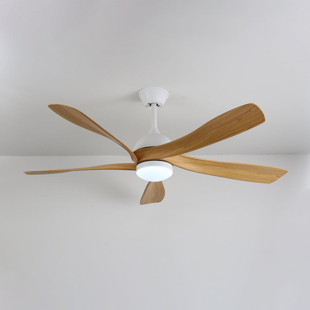 Avenli Ceiling Fan Light - Vakkerlight