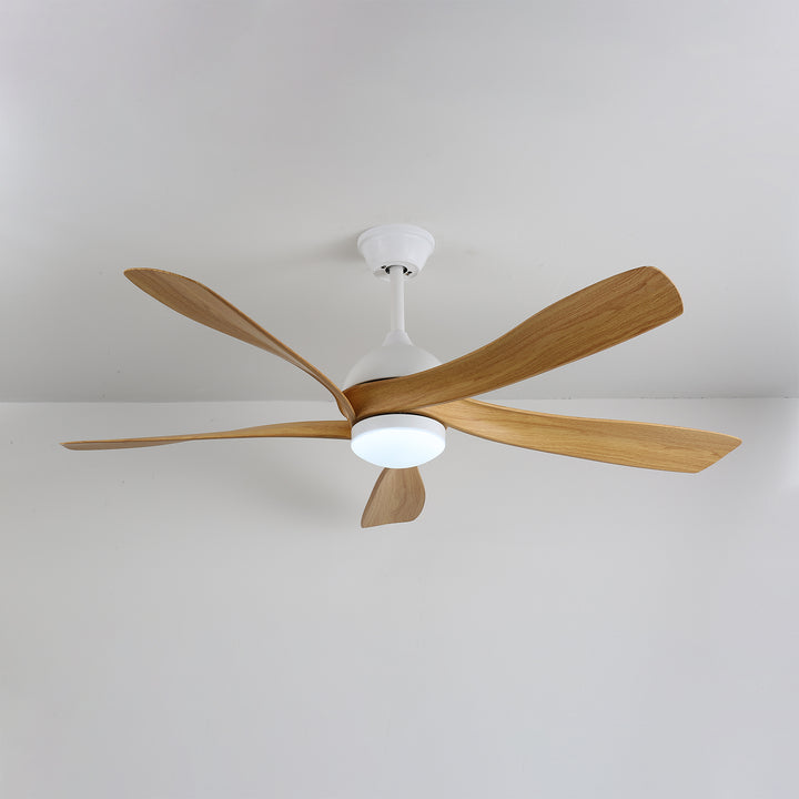 Avenli Ceiling Fan Light - Vakkerlight