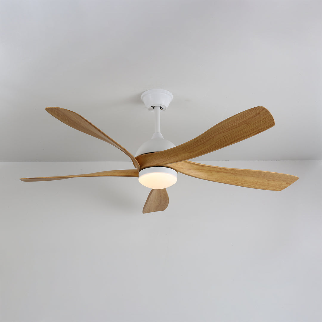 Avenli Ceiling Fan Light - Vakkerlight