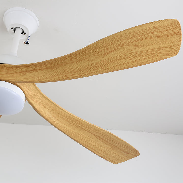Avenli Ceiling Fan Light - Vakkerlight