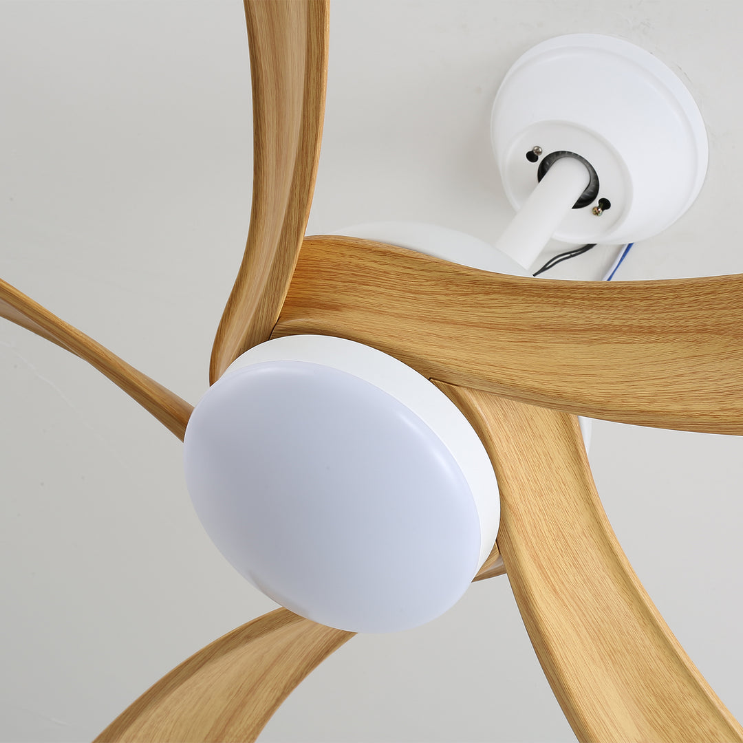 Avenli Ceiling Fan Light - Vakkerlight