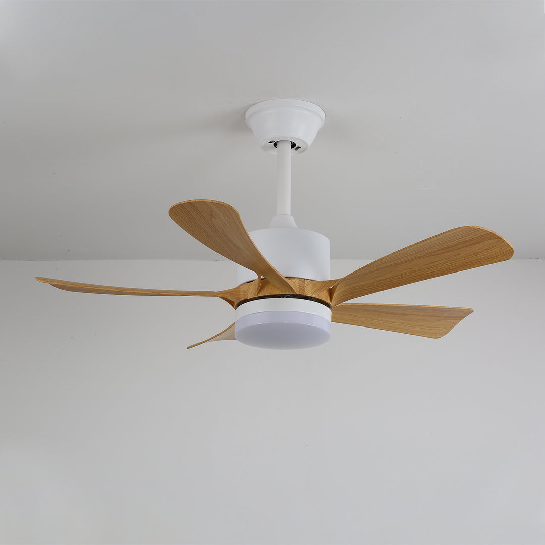 Avenli Ceiling Fan Light - Vakkerlight