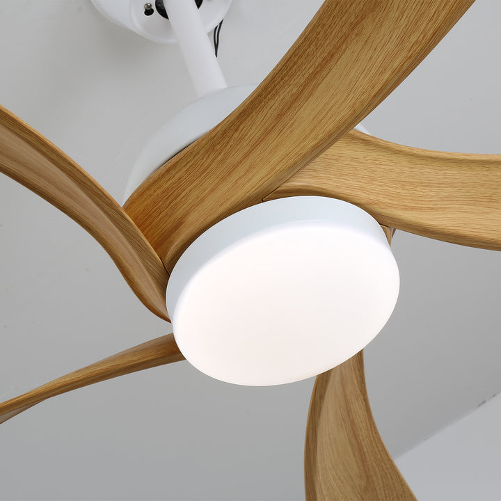 Avenli Ceiling Fan Light - Vakkerlight