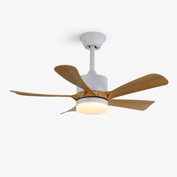 Avenli Ceiling Fan Light - Vakkerlight