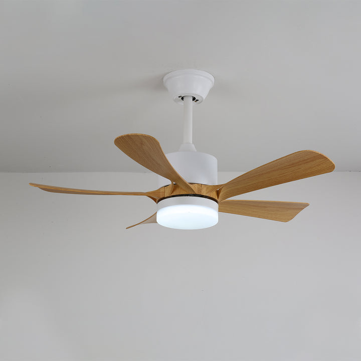 Avenli Ceiling Fan Light - Vakkerlight