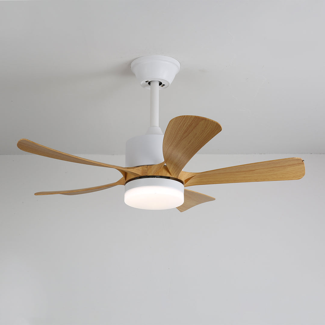 Avenli Ceiling Fan Light - Vakkerlight