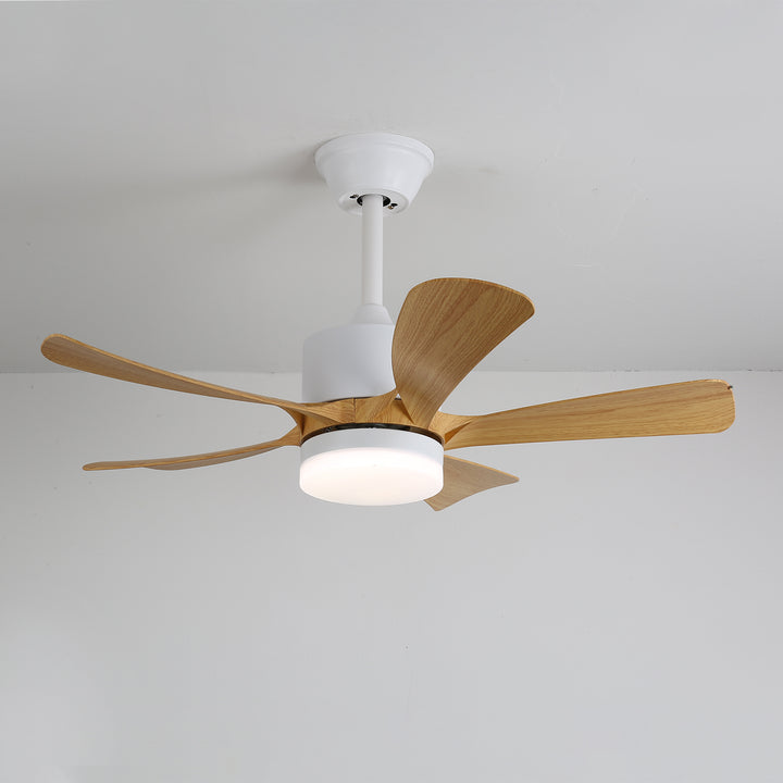 Avenli Ceiling Fan Light - Vakkerlight