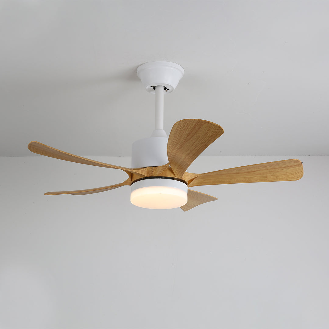 Avenli Ceiling Fan Light - Vakkerlight