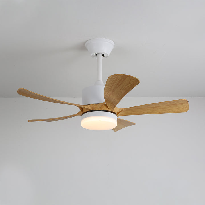 Avenli Ceiling Fan Light - Vakkerlight