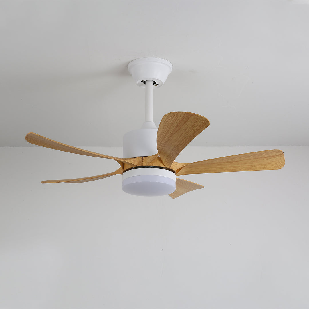 Avenli Ceiling Fan Light - Vakkerlight