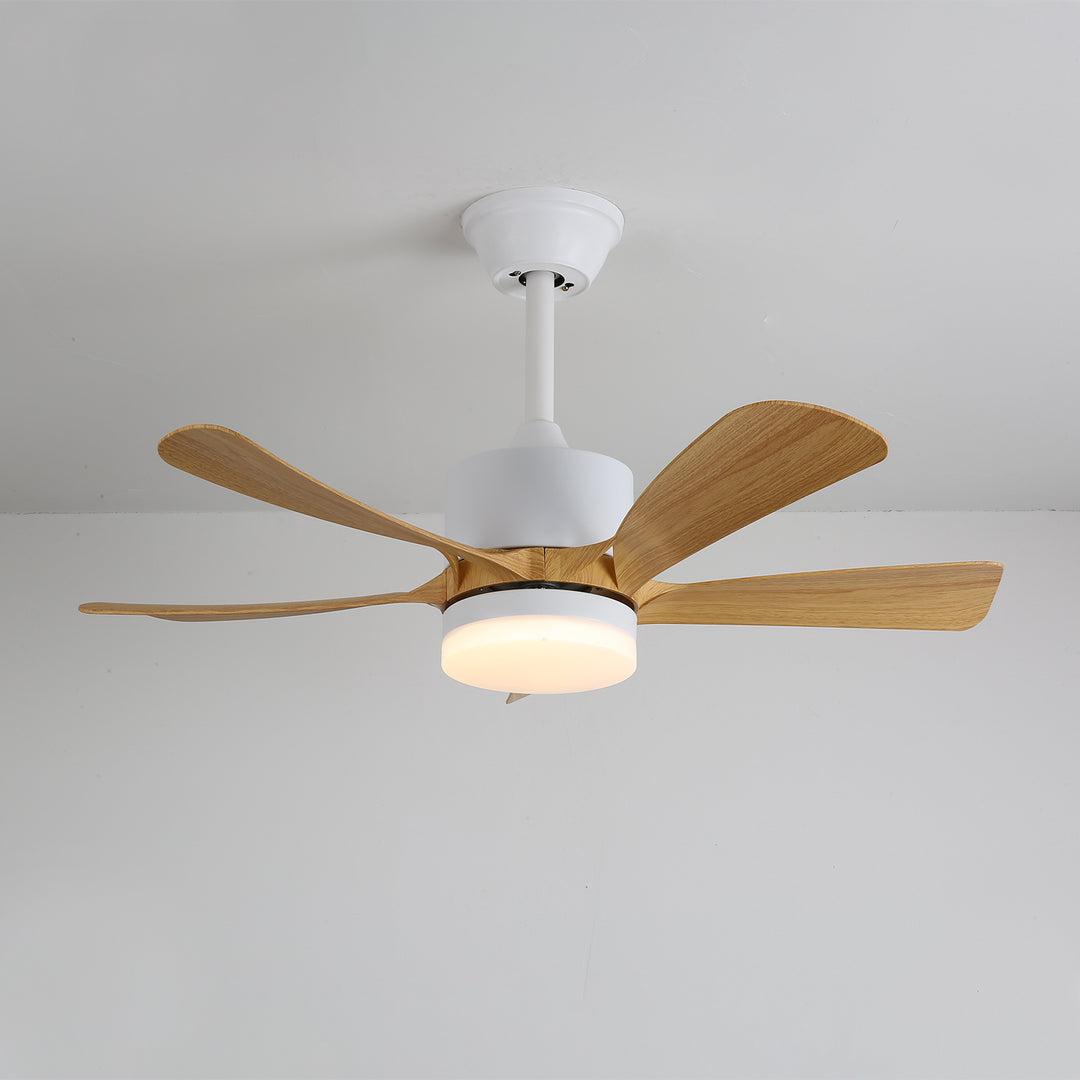 Avenli Ceiling Fan Light - Vakkerlight