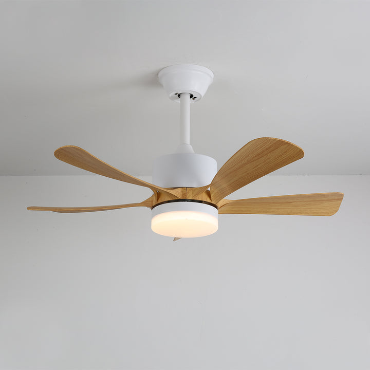 Avenli Ceiling Fan Light - Vakkerlight