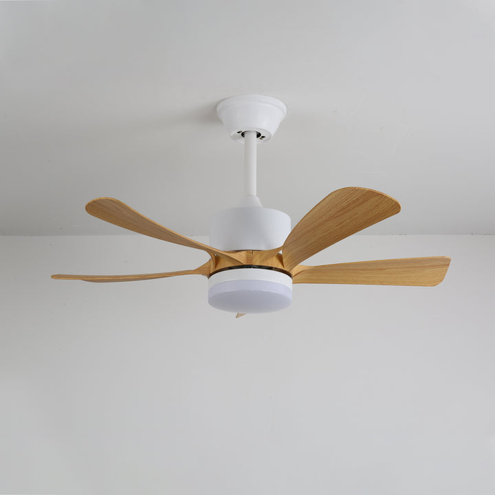 Avenli Ceiling Fan Light - Vakkerlight