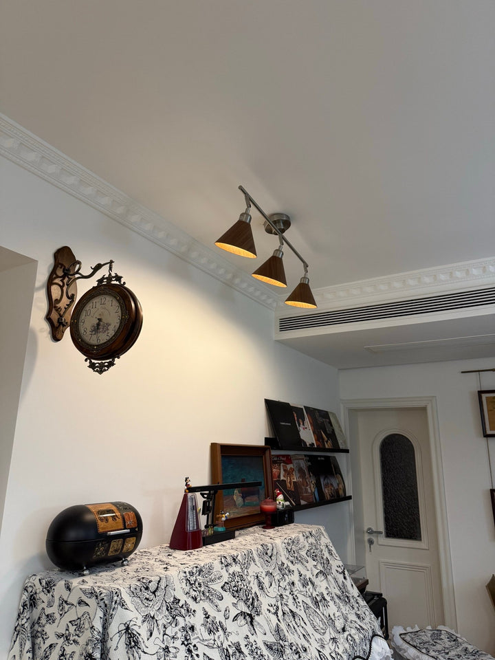 Axiom Directional Ceiling Lamp - Vakkerlight